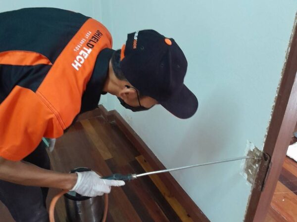 กำจัดปลวก