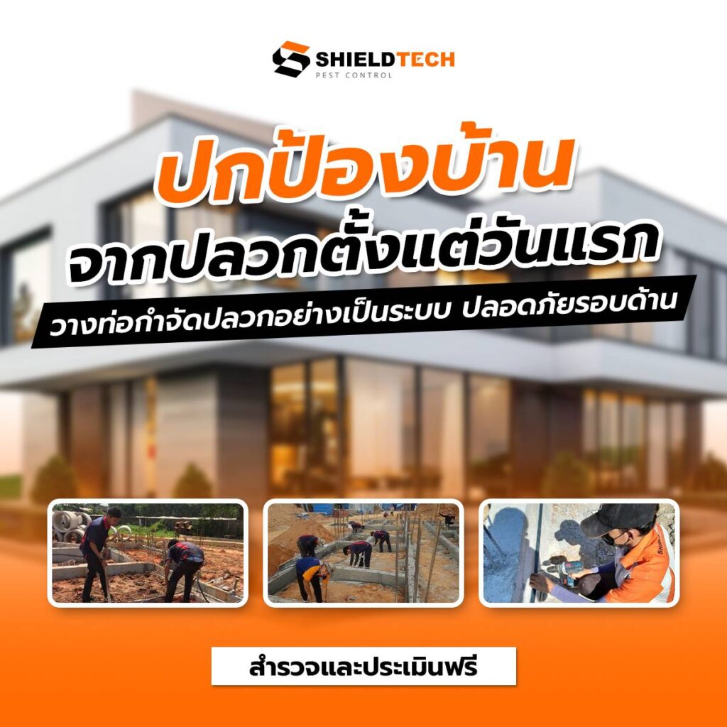 กำจัดปลวก ฉีดปลวก บริษัทกำจัดปลวก