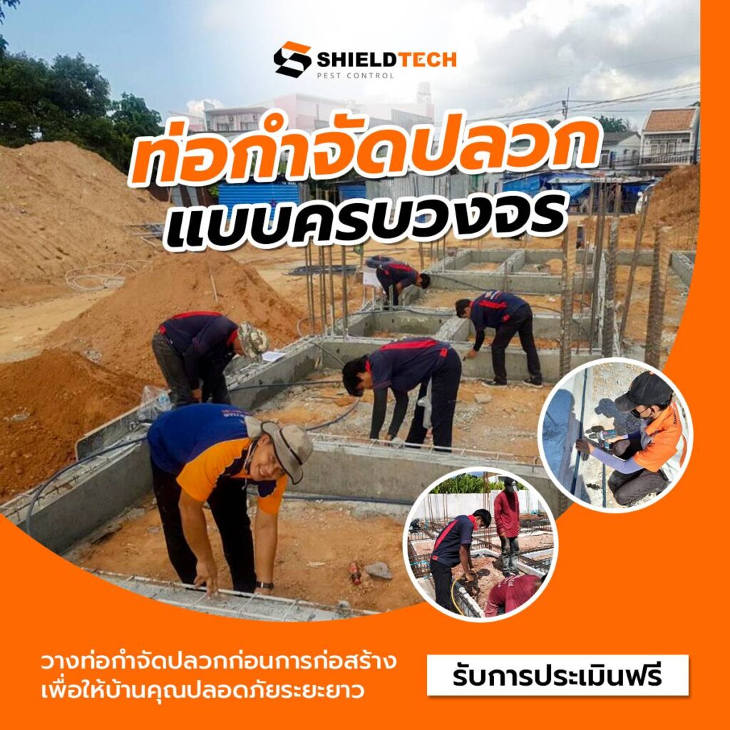 วางท่อกำจัดปลวก